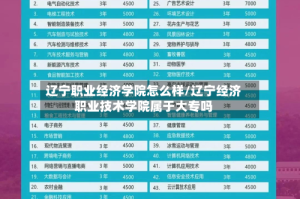 辽宁职业经济学院怎么样/辽宁经济职业技术学院属于大专吗