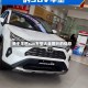 关于丰田suv车型大全图片的信息