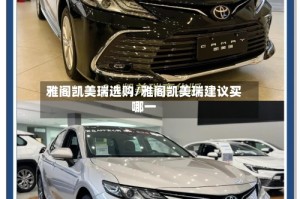 雅阁凯美瑞选购/雅阁凯美瑞建议买哪一