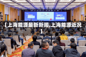 【上海能源最新新闻,上海能源近况】