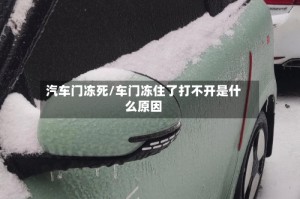 汽车门冻死/车门冻住了打不开是什么原因