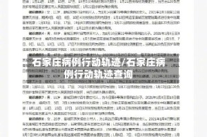 石家庄病例行动轨迹/石家庄病例行动轨迹查询