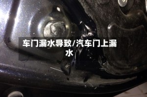 车门漏水导致/汽车门上漏水