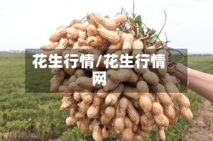 花生行情/花生行情网