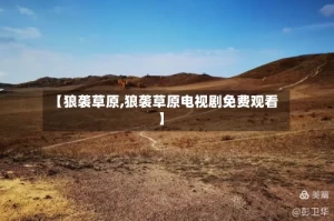 【狼袭草原,狼袭草原电视剧免费观看】