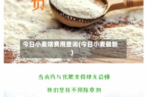 今日小麦啥费用查询(今日小麦最新)