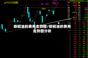 棕榈油的费用走势图/棕榈油的费用走势图分析