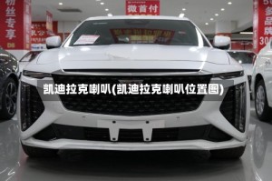 凯迪拉克喇叭(凯迪拉克喇叭位置图)