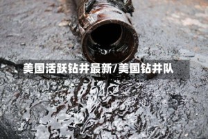 美国活跃钻井最新/美国钻井队