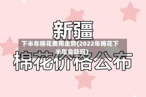 下半年棉花费用走势(2022年棉花下半年会跌吗)