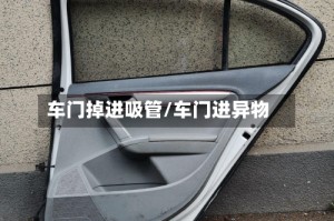车门掉进吸管/车门进异物