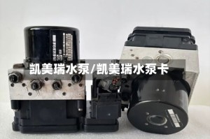 凯美瑞水泵/凯美瑞水泵卡