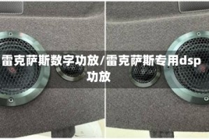 雷克萨斯数字功放/雷克萨斯专用dsp功放