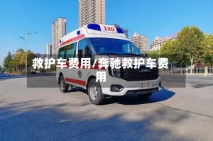 救护车费用/奔驰救护车费用