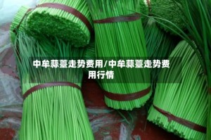 中牟蒜薹走势费用/中牟蒜薹走势费用行情