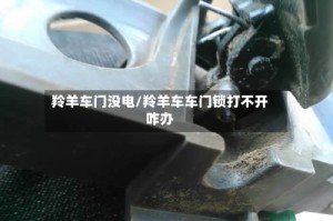 羚羊车门没电/羚羊车车门锁打不开咋办