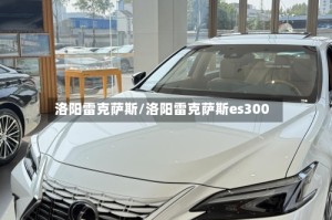 洛阳雷克萨斯/洛阳雷克萨斯es300