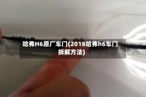哈弗H6原厂车门(2018哈弗h6车门拆解方法)