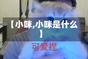 【小咪,小咪是什么】