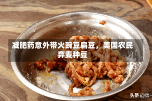 减肥药意外带火豌豆扁豆，美国农民弃麦种豆