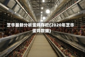 芝华最新分析蛋鸡存栏(2020年芝华蛋鸡数据)