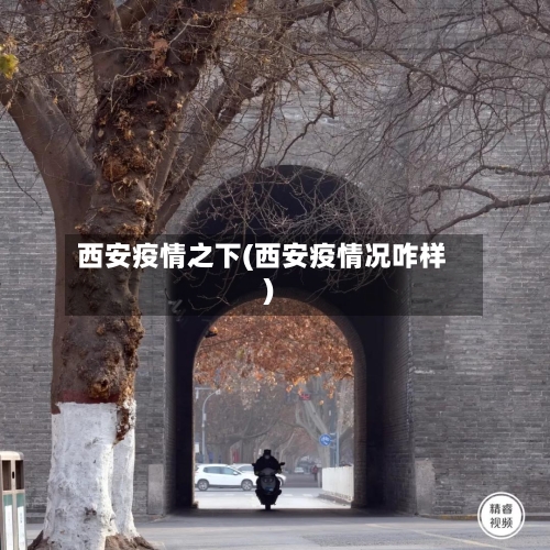 西安疫情之下(西安疫情况咋样)-第1张图片