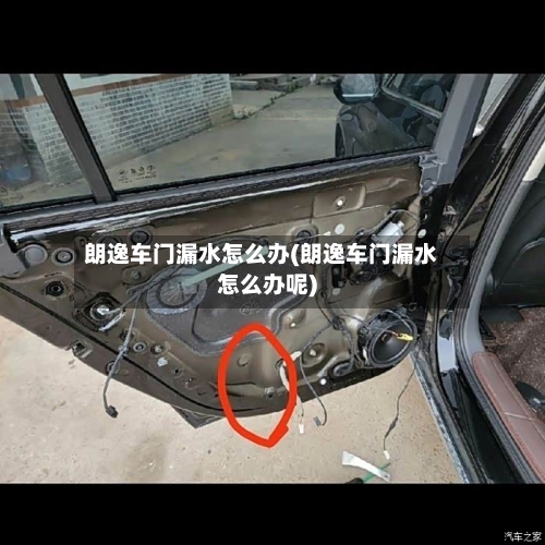 朗逸车门漏水怎么办(朗逸车门漏水怎么办呢)-第2张图片