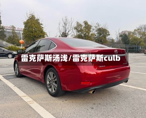 雷克萨斯汤浅/雷克萨斯culb-第2张图片