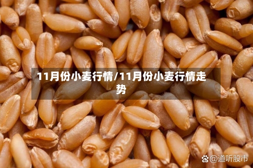 11月份小麦行情/11月份小麦行情走势-第2张图片