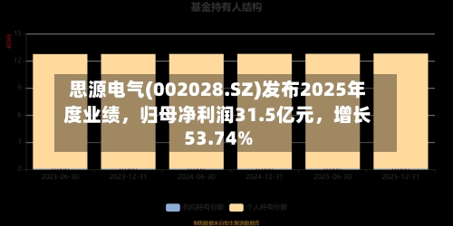 思源电气(002028.SZ)发布2025年度业绩，归母净利润31.5亿元，增长53.74%-第2张图片