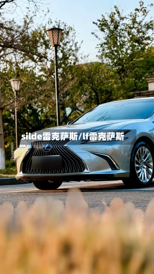 silde雷克萨斯/lf雷克萨斯-第1张图片