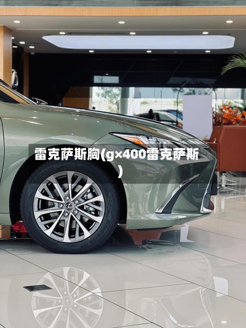 雷克萨斯胸(g×400雷克萨斯)-第3张图片