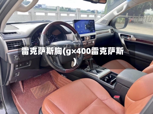 雷克萨斯胸(g×400雷克萨斯)-第2张图片