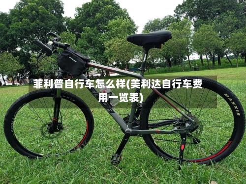 菲利普自行车怎么样(美利达自行车费用一览表)-第2张图片