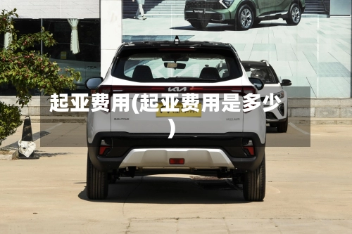 起亚费用(起亚费用是多少)-第2张图片