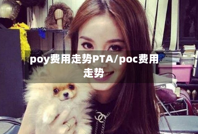 poy费用走势PTA/poc费用走势-第1张图片