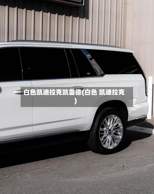 白色凯迪拉克凯雷德(白色 凯迪拉克)-第2张图片