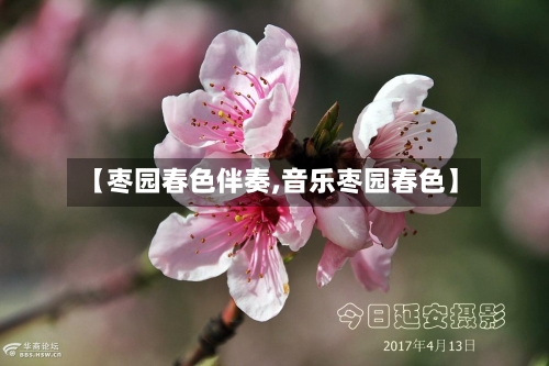 【枣园春色伴奏,音乐枣园春色】-第1张图片