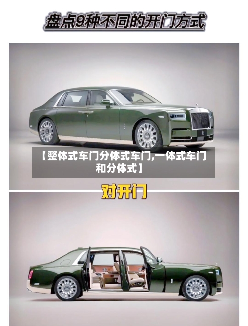 【整体式车门分体式车门,一体式车门和分体式】-第1张图片