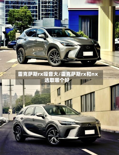 雷克萨斯rx噪音大/雷克萨斯rx和nx选取哪个好-第2张图片