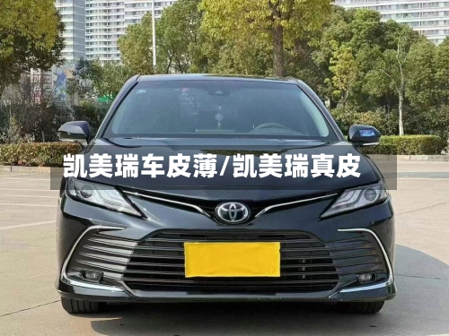 凯美瑞车皮薄/凯美瑞真皮-第2张图片