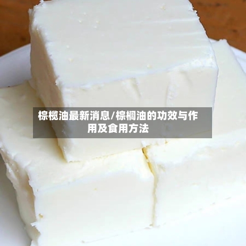棕榄油最新消息/棕榈油的功效与作用及食用方法-第1张图片