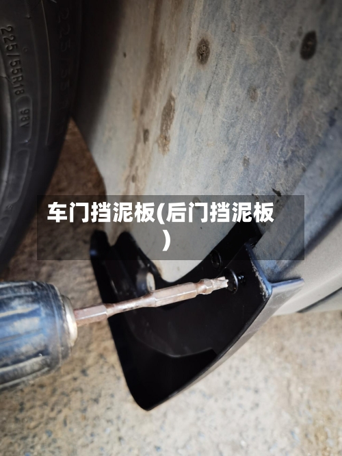车门挡泥板(后门挡泥板)-第1张图片
