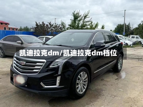 凯迪拉克dm/凯迪拉克dm档位-第2张图片