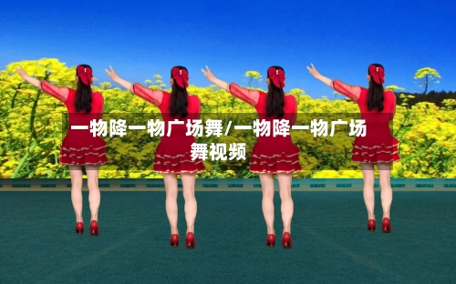 一物降一物广场舞/一物降一物广场舞视频-第2张图片