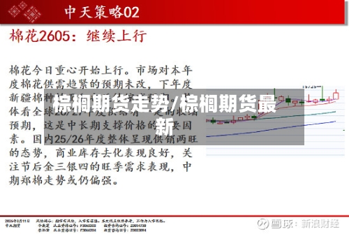 棕榈期货走势/棕榈期货最新-第3张图片