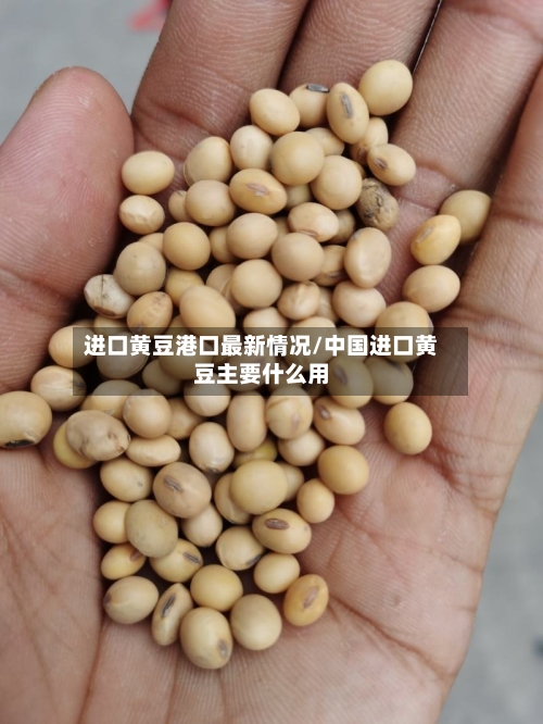 进口黄豆港口最新情况/中国进口黄豆主要什么用-第1张图片