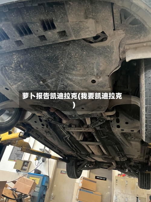 萝卜报告凯迪拉克(我要凯迪拉克)-第2张图片