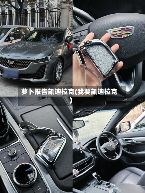 萝卜报告凯迪拉克(我要凯迪拉克)-第1张图片