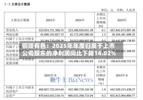 铜陵有色：2025年年度归属于上市公司股东的净利润同比下降14.02%-第1张图片